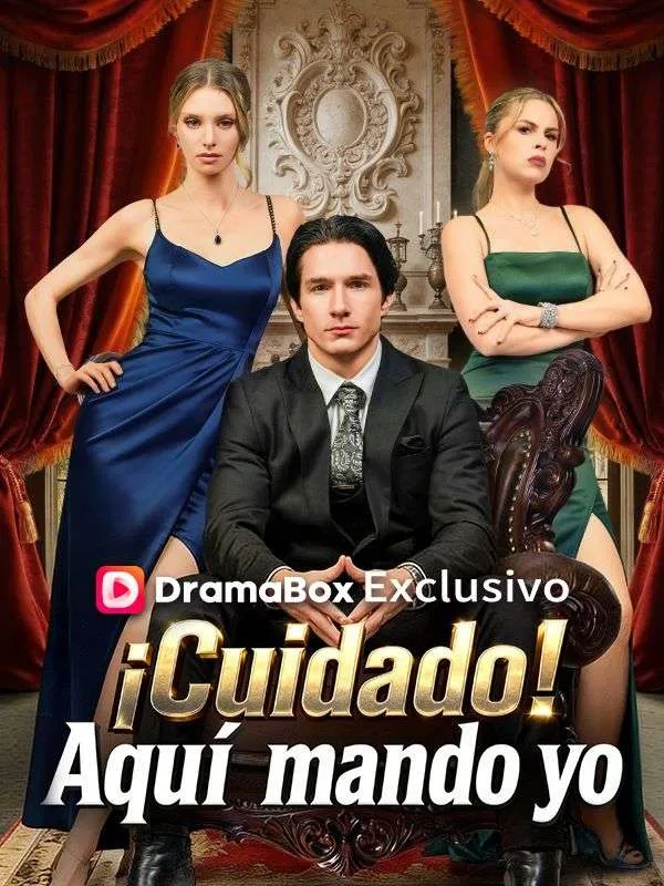 Póster de ¡Cuidado! Aquí mando yo
