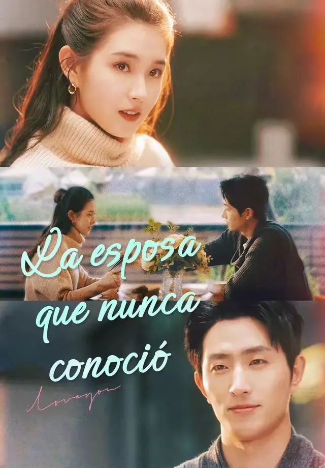 Póster de La esposa que nunca conoció