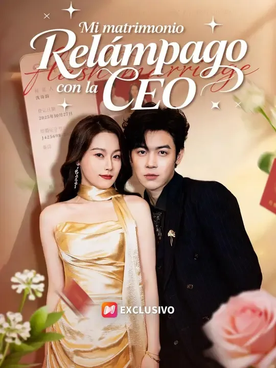 Póster de Mi matrimonio relámpago con la CEO