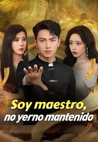 Póster de Soy maestro, no yerno mantenido