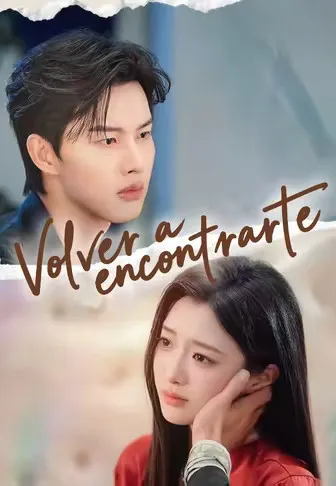 Póster de Volver a encontrarte