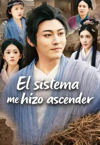 Póster de El sistema me hizo ascender